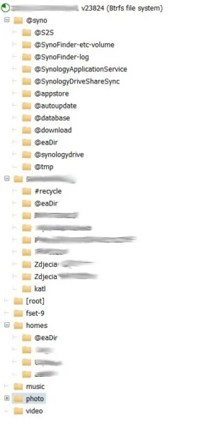 synology NAS RAID SHR lista plików